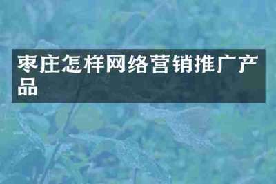 枣庄怎样网络营销推广产品