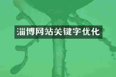 淄博网站关键字优化