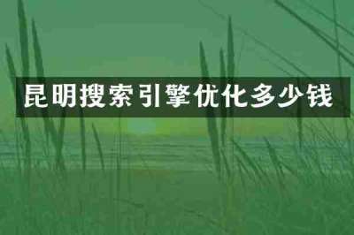 昆明搜索引擎优化多少钱