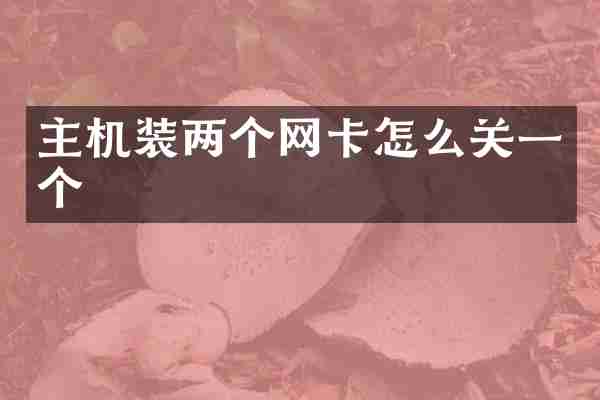 主机装两个网卡怎么关一个