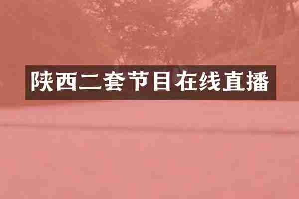 陕西二套节目在线直播