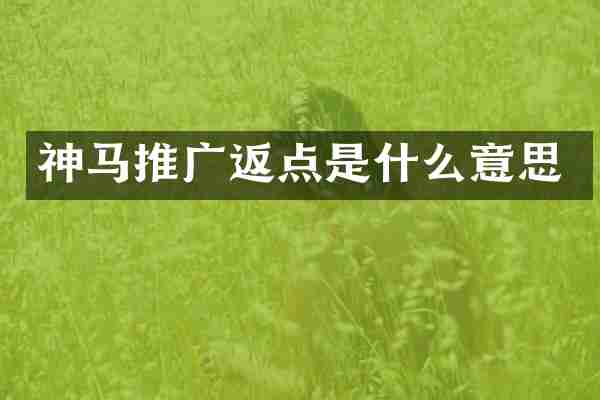 神马推广返点是什么意思