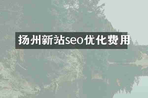 扬州新站seo优化费用