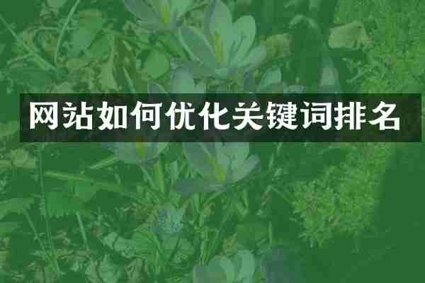 网站如何优化关键词排名