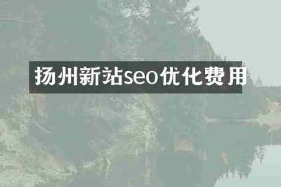扬州新站seo优化费用