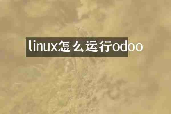 linux怎么运行odoo