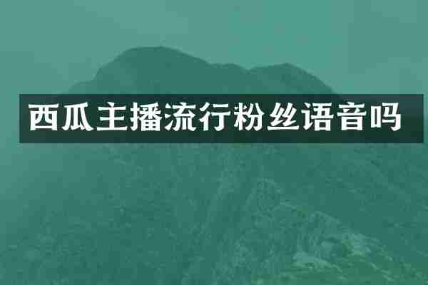 西瓜主播流行粉丝语音吗