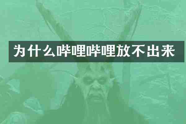 为什么哔哩哔哩放不出来