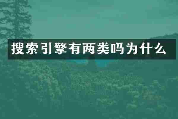 搜索引擎有两类吗为什么