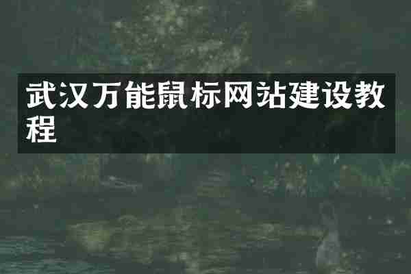 武汉万能鼠标网站建设教程
