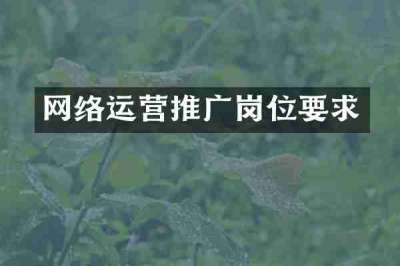 网络运营推广岗位要求