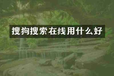 搜狗搜索在线用什么好