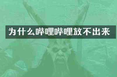 为什么哔哩哔哩放不出来