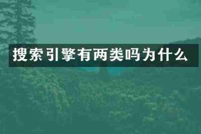搜索引擎有两类吗为什么