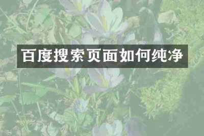 百度搜索页面如何纯净