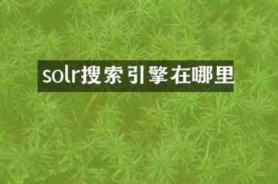 solr搜索引擎在哪里