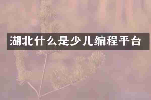 湖北什么是少儿编程平台