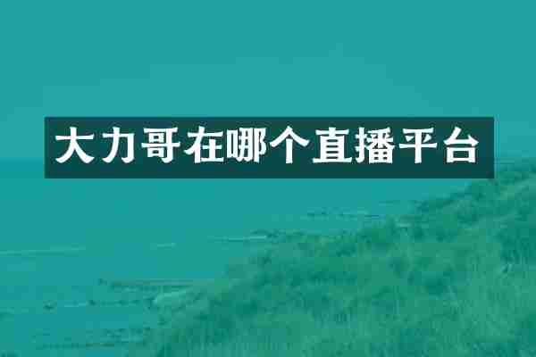 大力哥在哪个直播平台