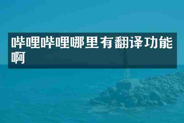 哔哩哔哩哪里有翻译功能啊