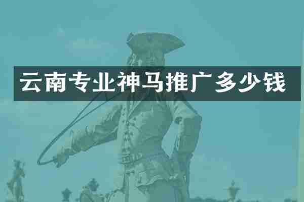云南专业神马推广多少钱