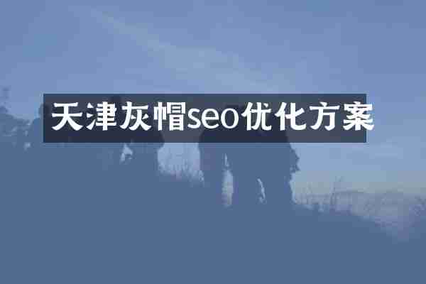 天津灰帽seo优化方案