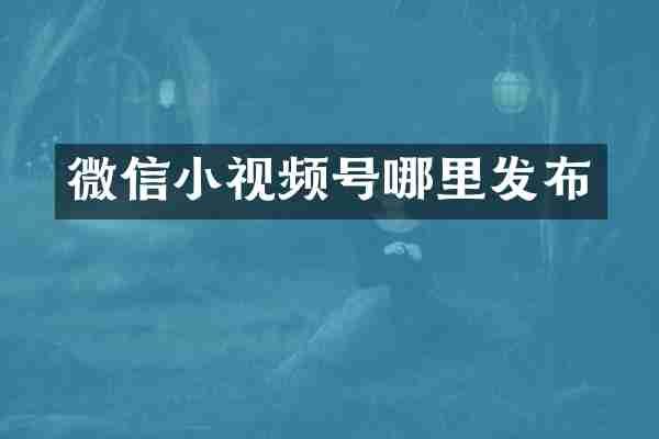 微信小视频号哪里发布