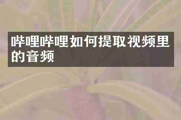 哔哩哔哩如何提取视频里的音频