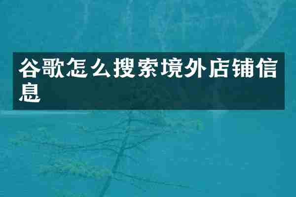 谷歌怎么搜索境外店铺信息