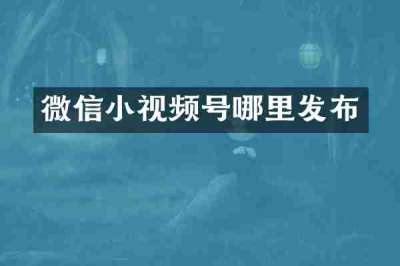 微信小视频号哪里发布