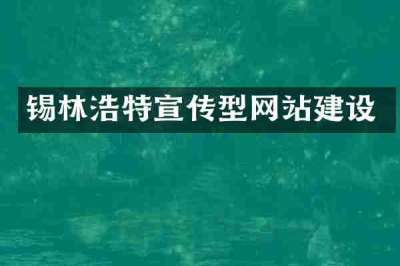 锡林浩特宣传型网站建设