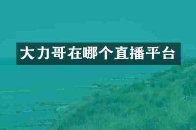 大力哥在哪个直播平台