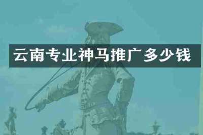 云南专业神马推广多少钱