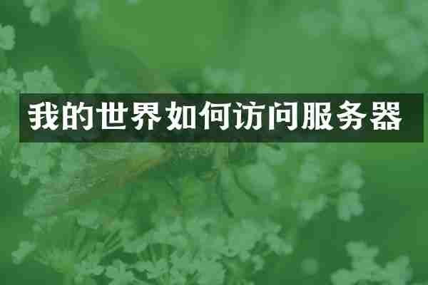 我的世界如何访问服务器