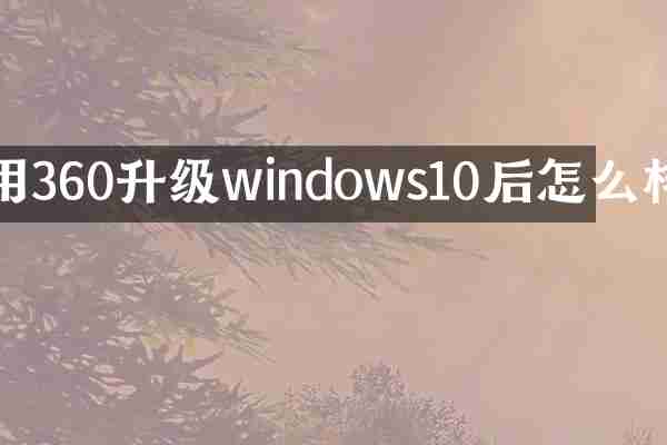 用360升级windows10后怎么样