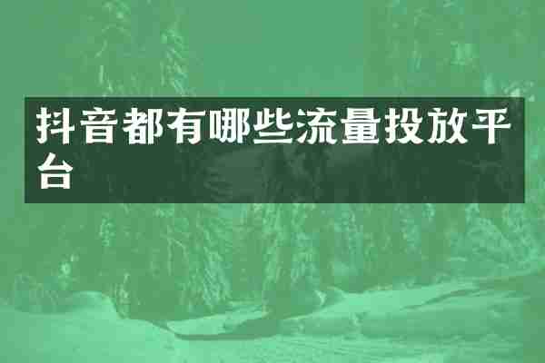 抖音都有哪些流量投放平台