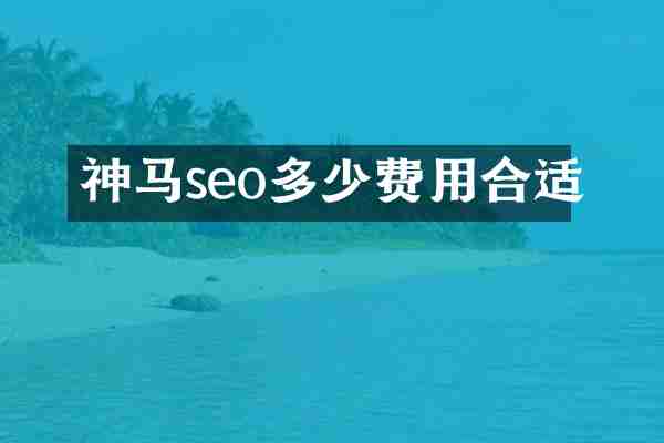 神马seo多少费用合适