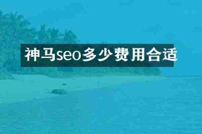 神马seo多少费用合适