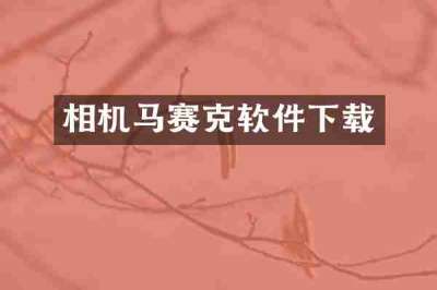 相机马赛克软件下载