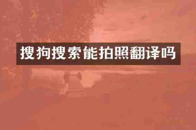 搜狗搜索能拍照翻译吗