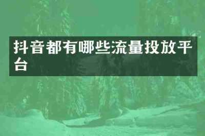 抖音都有哪些流量投放平台