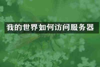 我的世界如何访问服务器