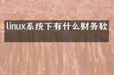 linux系统下有什么财务软件