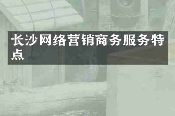长沙网络营销商务服务特点