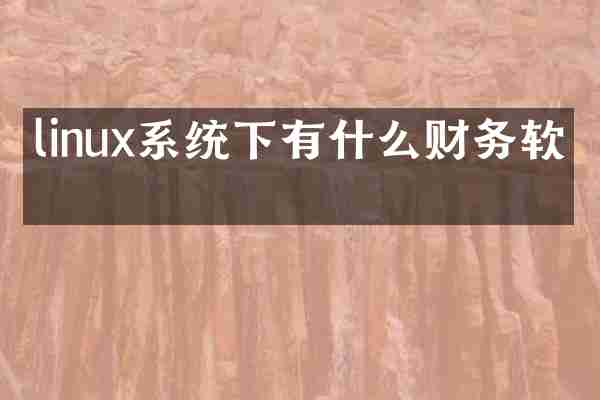 linux系统下有什么财务软件