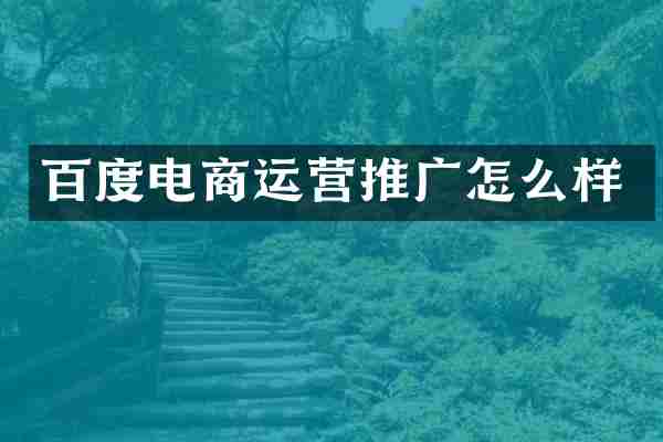 百度电商运营推广怎么样