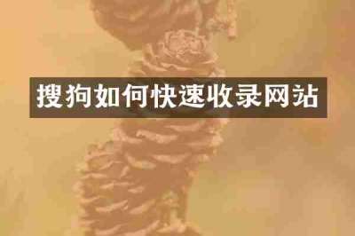 搜狗如何快速收录网站