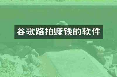 谷歌路拍赚钱的软件