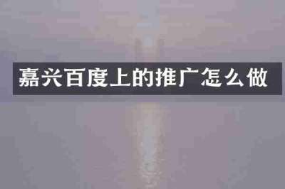 嘉兴百度上的推广怎么做