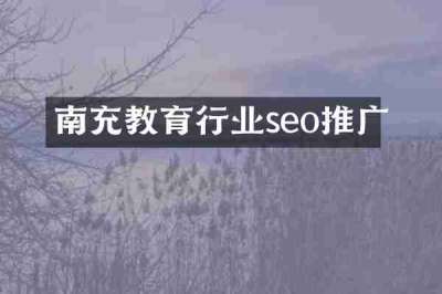 南充教育行业seo推广