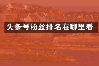 头条号粉丝排名在哪里看
